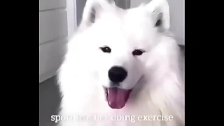 Girl fucks doggiestyle